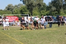 Pomiechówek 2013_9