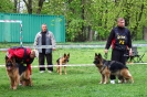 Wrocław 2015_21